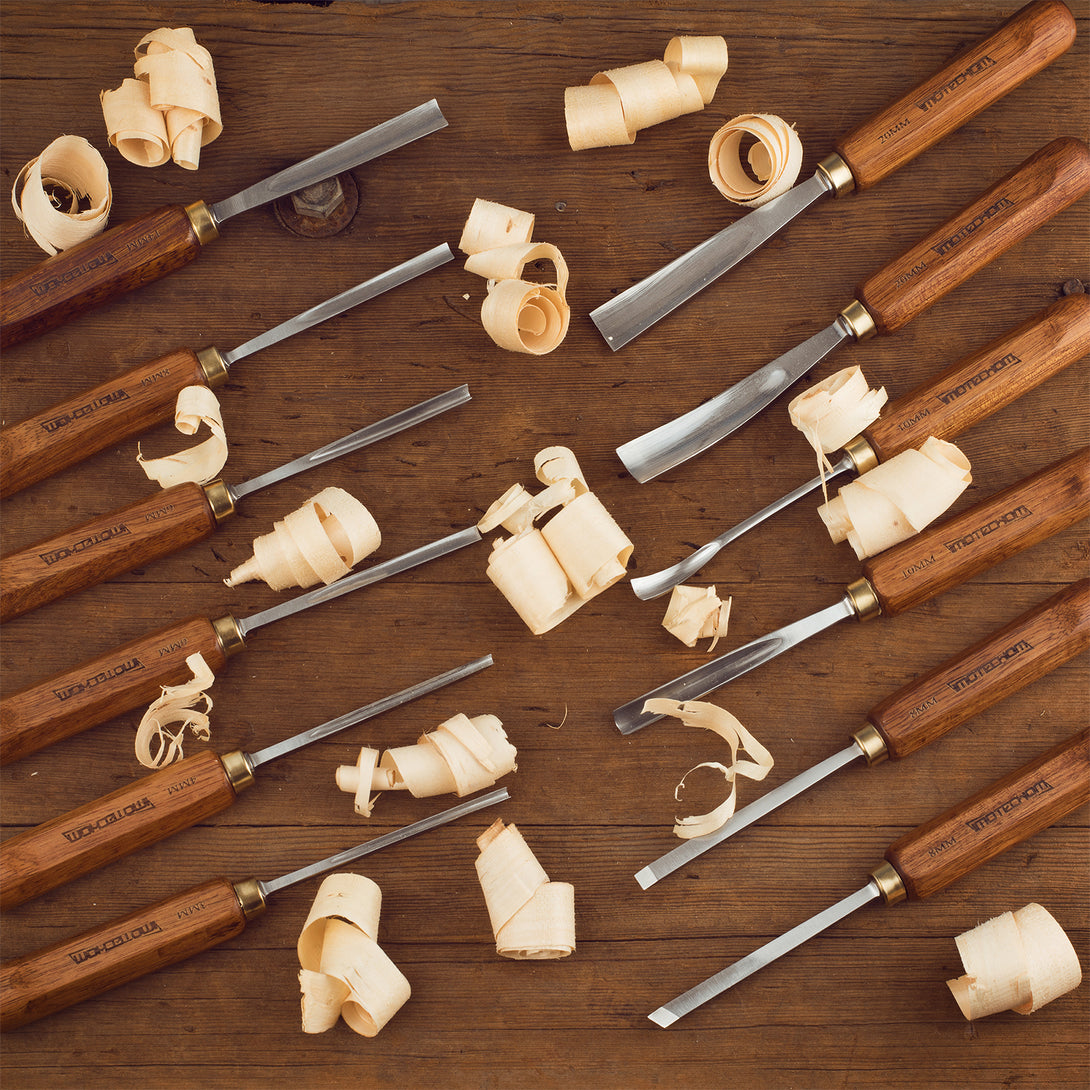 IMOTECHOM 12-Pieces Woodworking Wood Carving Tools Chisel Set with Woo